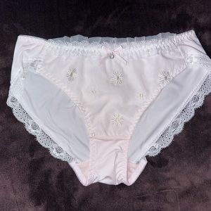 Pink Lolita Kawaii panties.